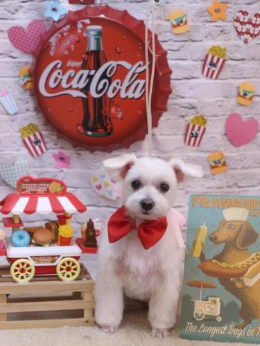 20230923ヒメちゃん